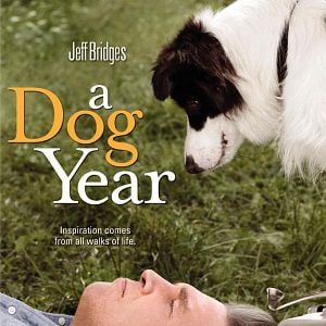 Photo A Dog Year
