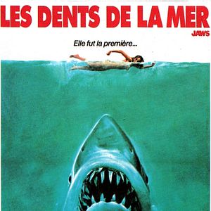 Photo Les Dents de la Mer