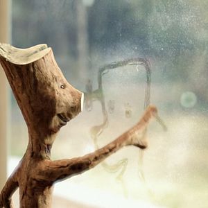 Photo Twigson a disparu