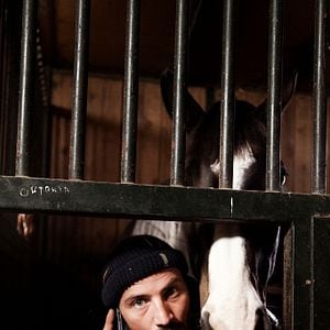 Photo Un Cheval sur le balcon