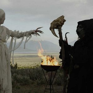 Photo Dragonfyre