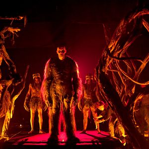 Photo The Lords of Salem