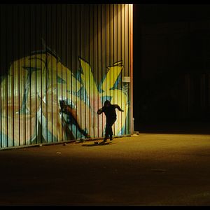 Photo Vandal