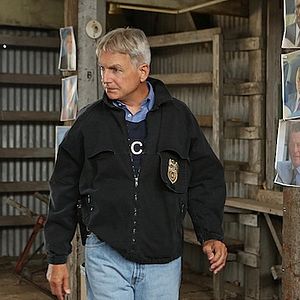 Photo Mark Harmon