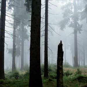 Photo Une minute d’obscurité