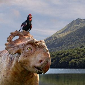 Photo Sur la terre des dinosaures, le film 3D