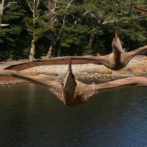 Photo Sur la terre des dinosaures, le film 3D
