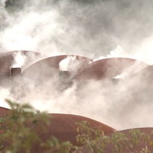 Photo The Carbon Rush