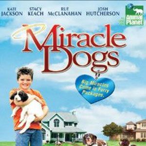 Photo Un miracle à 19 pattes