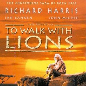 Photo Un homme parmi les lions