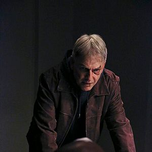 Photo Mark Harmon