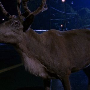 Photo Le Secret du père Noël
