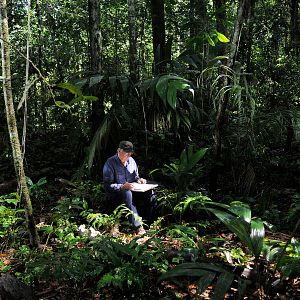 Photo Il était une forêt