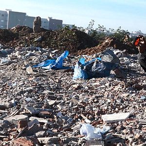 Photo C'est eux les chiens...