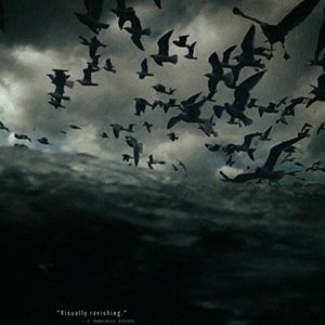 Photo Leviathan