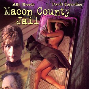 Photo Macon county jail