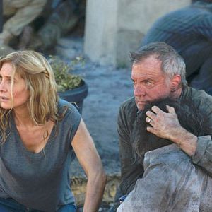 Photo Elizabeth Mitchell