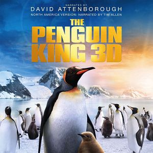 Photo Adventures Of The Penguin King