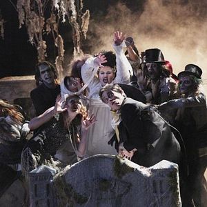 Photo Kate Jenkinson