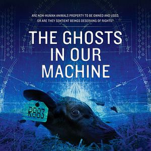 Photo The Ghosts in our Machine