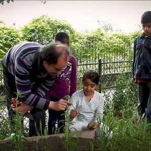 Photo Le Monde en un jardin