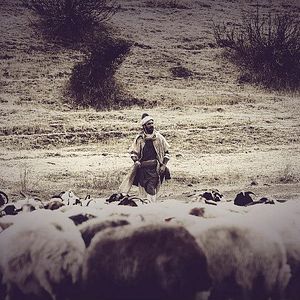 Photo Yunus Emre Askin Sesi