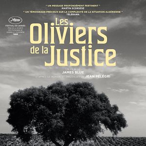 Photo Les Oliviers de la justice