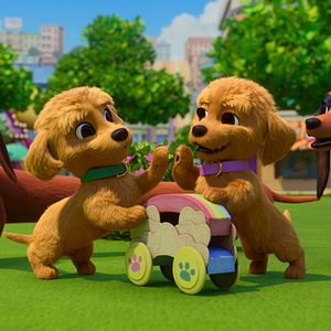 Photo Bretzel et les bébés chiens