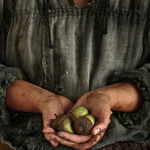 Photo Le Seigneur des Anneaux : Les Anneaux de Pouvoir