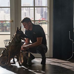 Photo Dog