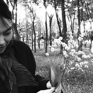 Photo La Romancière, le film et le heureux hasard