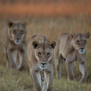 Photo Survivre au paradis : Une histoire de famille
