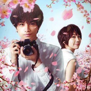 Photo Love like the falling petals