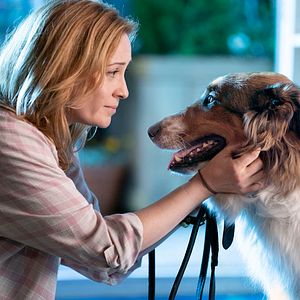 Photo Camille Sullivan