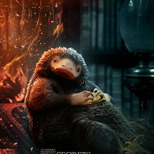 Photo Les Animaux Fantastiques : les Secrets de Dumbledore