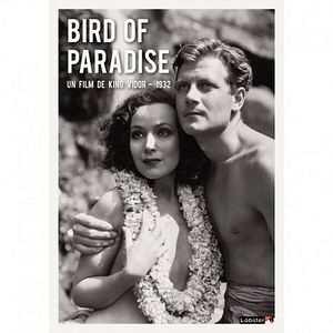Photo L'Oiseau de Paradis