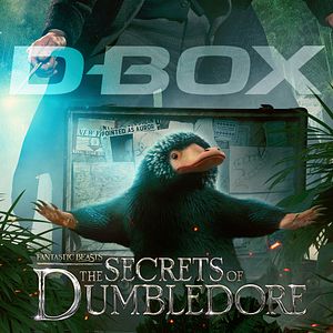 Photo Les Animaux Fantastiques : les Secrets de Dumbledore