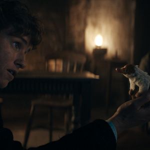 Photo Eddie Redmayne