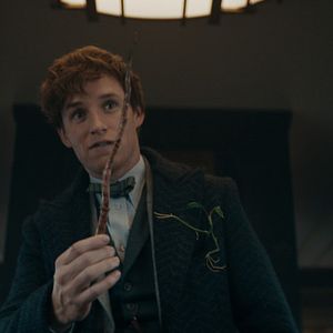 Photo Eddie Redmayne