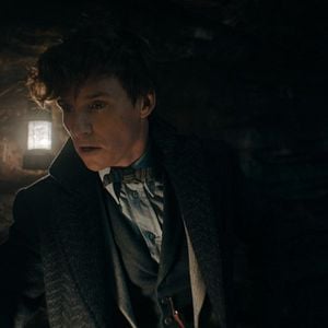 Photo Eddie Redmayne