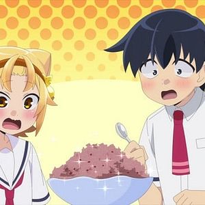 Photo Yatogame-chan Kansatsu Nikki