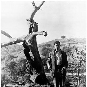 Photo Anthony Perkins