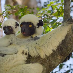 Photo Parcs nationaux : Ces merveilles du monde