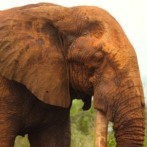 Photo Parcs nationaux : Ces merveilles du monde