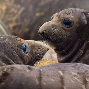 Photo Parcs nationaux : Ces merveilles du monde