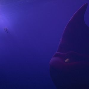 Photo Le Monstre des mers