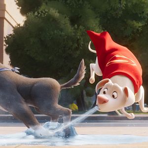Photo Krypto et les Super-Animaux