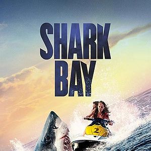 Photo Shark Bay
