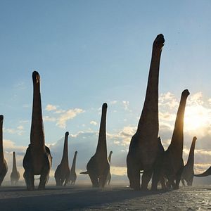 Photo Planète préhistorique