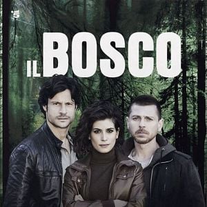 Photo Il bosco